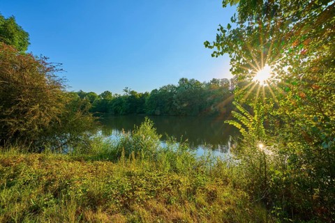 Calm Main with surrounding trees and sunrays shining through the leaves, autumn, sunset,