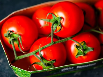 Close-up, ripe red organic vine tomatoes with green stalks in packaging tray