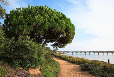 Pargue Natural Ria Formosa between Faro and Tavira, Algarve, Portugal, Europe