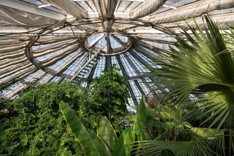 View of lush tropical vegetation up to a decorative domed glass roof structure, historic