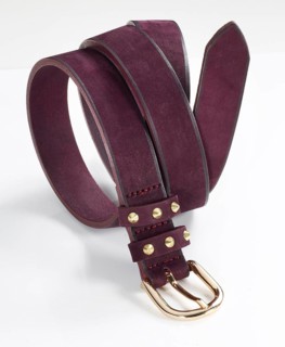 Leather belt in front of a white background, studio shot