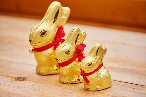 Decoration with golden chocolate bunnies for easter, Germany, Europe