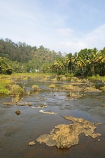Periyar River, Thekkady, Kerala, India, Asia
