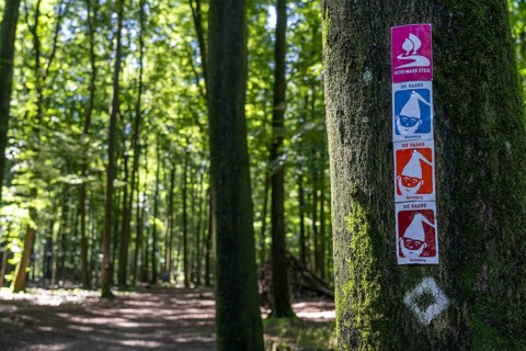 Hiking trail Hohe Mark Steig, hiking sign, forest area The Haard, in the northern Ruhr area,