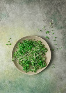 Fresh micro-greenery, on a plate, top view, no people