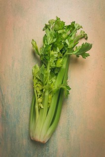 Fresh bunch of celery, top view, no people