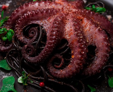 Octopus with black spaghetti, pasta, spices and herbs, top view, no people