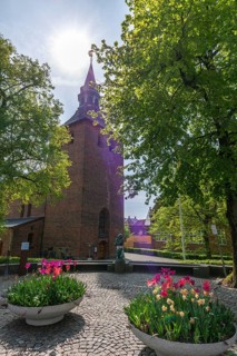 Svendborg Old Town, St. Nicolai Church, church tower, flower bowl, blooming tulips, tree, Fyn, Fyn