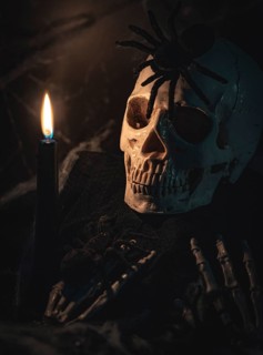 Creepy skull with a spider on its head, illuminated by a candle