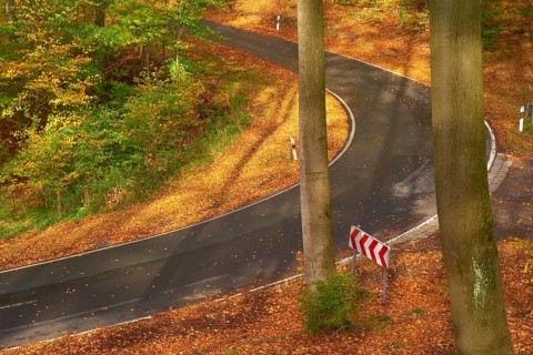 Sun illuminates a winding road leading through an autumnal forest with colourful foliage and tall