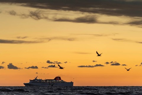 Gotland ferry accompanied by seagulls sailing towards the Hanseatic town of Visby after sunset,