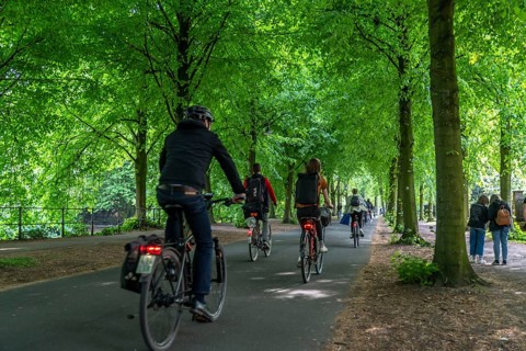 Promenade cycle path, tree-lined, car-free, approximately 4.5 km long ring road around the city