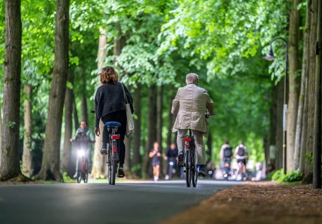 Promenade cycle path, tree-lined, car-free, approximately 4.5 km long ring road around the city
