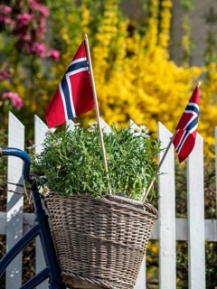 Decorated bicycle at a white fence, norwegian national day, village Solvorn at the Sognefjord,