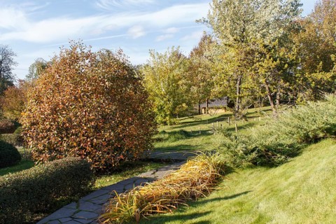 Park with green lawn, trees, hedges, trimmed bushes and hilly terrain. Modern landscape design