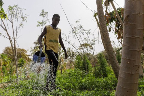 Watering of fields by farmers during organic farming at the agroecological training centre Centre