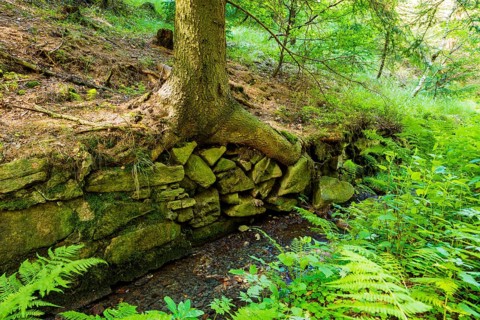 Mine water trench at the Zinnwald visitor mine, Zinnwald, Zinnwald, Saxony, Germany, Europe