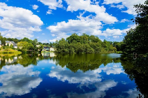 Hofteich or Schönfelder Teich, it was used to supply water for the Freiberg mining industry,