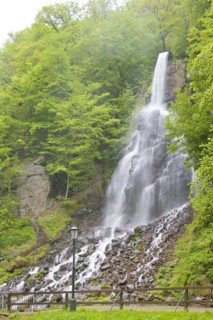 The Trusetal Waterfall is the highest waterfall in the Thuringian Forest. It is located in the town