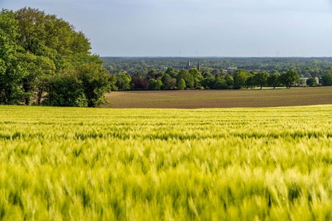 Sonsbeck Switzerland, a part of the Lower Rhine mountain range, an end moraine pushed up during the