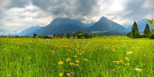 Loretto meadows near Oberstdorf, behind Oberstdorf and the Allgäu Alps, Allgäu, Bavaria, Germany,
