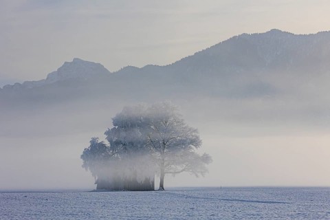 Hut in the snow, trees with hoarfrost, fog, winter, view of Benediktenwand, Loisach-Lake Kochel