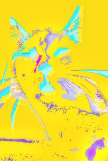 Michas Cats, art, mixed media, artist Michael Preyer, abstract cat portrait, portrait, cat head,