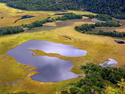 New Zealand, Fjordland National Park, Fjordland NP, New Zealand, Oceania