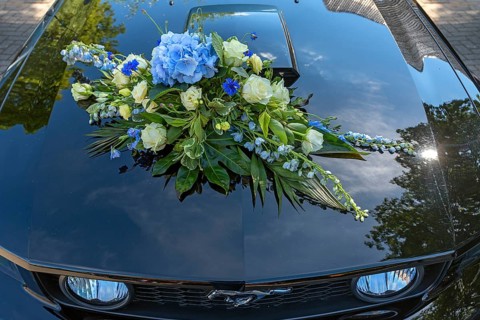 Flower decorations on a wedding car, Mecklenburg-Vorpommern, Germany, Europe