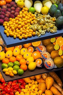 Exotic fruits, lychee, jackfruit, dragon fruit, mango and citrus fruits presented on a table,