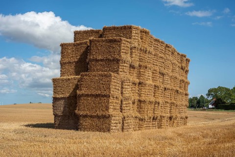 Pile of rectangular straw bales at Ystad, Skåne county, Sweden, Scandinavia, Europe