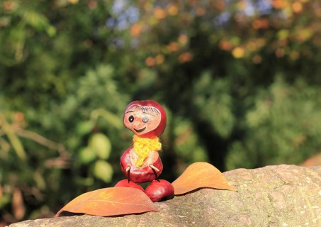 Chestnut figure with leaves on a tree trunk, North Rhine-Westphalia, Germany, Europe
