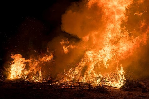 Environmental pollution, fire from discarded Christmas trees, Ostfildern-Plieningen,