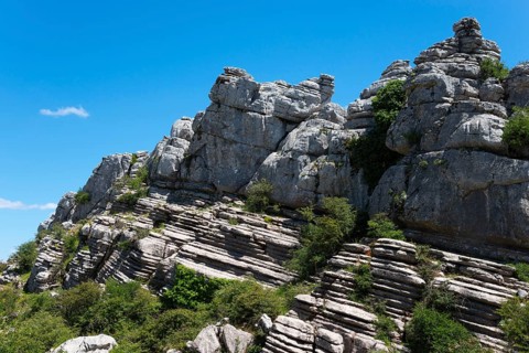 Rock layers and vegetation on a steep rock face under a bright blue sky, Karst Mountains, Torcal