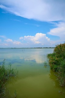 Tranquil lakeside landscape, Etang des Launes, with blue sky and clouds, surrounded by reeds and