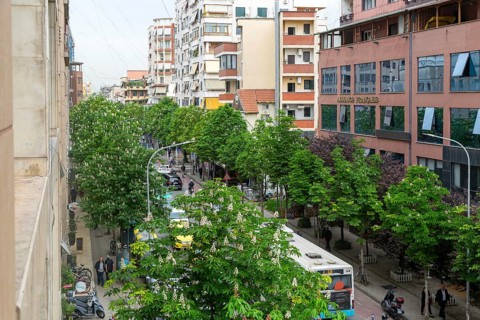 Looking down on treelined street vehicles traffic cars taxis buses in city centre of Tirana,