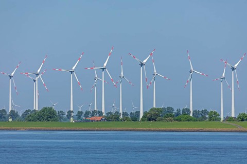 Wind farm near Brunsbüttel, Haus, Elbe, Schleswig-Holstein, Germany, Europe