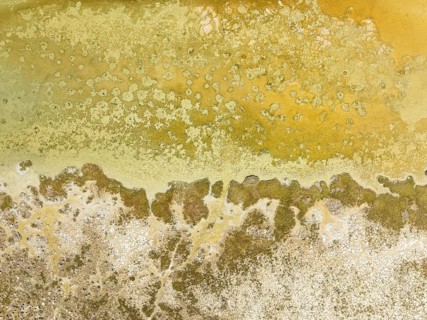 Detail of salt marshes near Sanlúcar de Barrameda. Aerial view. Drone shot. Cádiz province,