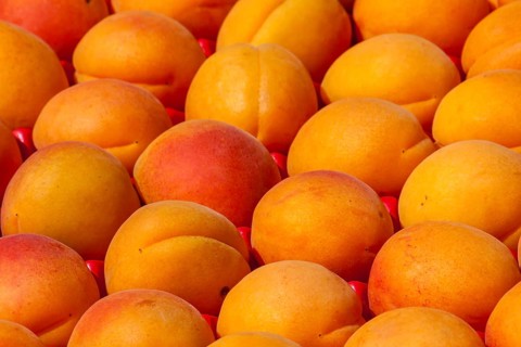 Apricots for sale on a market stall, Brittany, France, Europe