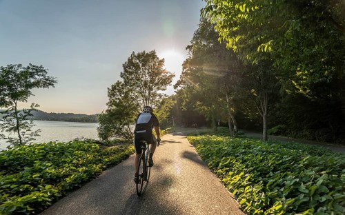 Cycling on Lake Baldeney, around 14 kilometres around the Ruhr reservoir, summer evening on the