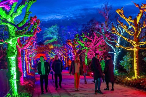 Parkleuchten, event in winter, in the Grugapark in Essen, many different light installations,