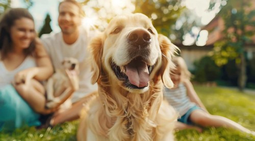 Happy smiling family with children playing with a golden retriever at home lawn, AI generated