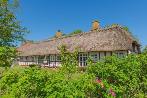 Island of Skarø, Skaroe, thatched half-timbered house, Danish South Sea, group of trees, idyll,