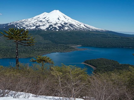 View from hiking trail Sierra Nevada, lake Conguillio, araucaria forest, volcano Llaima, Conguillio