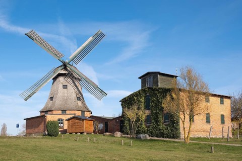 Town windmill, Galerie-Holländer, Malchow, island town, Mecklenburg Lake District, Mecklenburg,