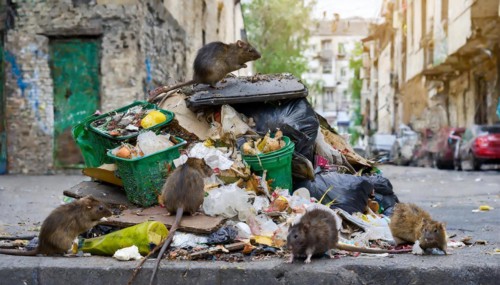 Symbolism, a pile of rotting rubbish in the city, with rats on it, AI-generated
