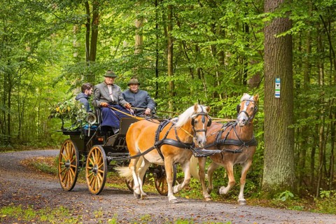 Presentation and route ride, all carriages in stylish tension, popular sporting event over approx.