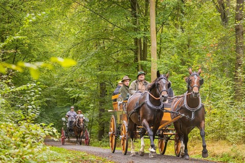 Presentation and route ride, all carriages in stylish tension, popular sporting event over approx.