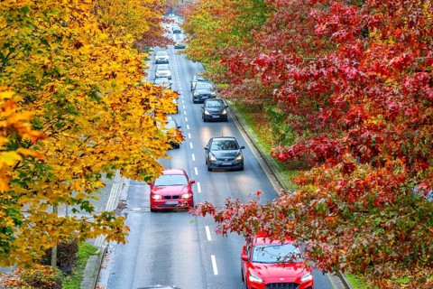Autumn, road traffic, inner-city, trees in autumnal colours line a 4-lane road, symbolic image,