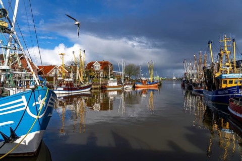 Cutter harbour Neuharlingersiel, shrimp cutter, East Frisia, Lower Saxony, Germany, Europe